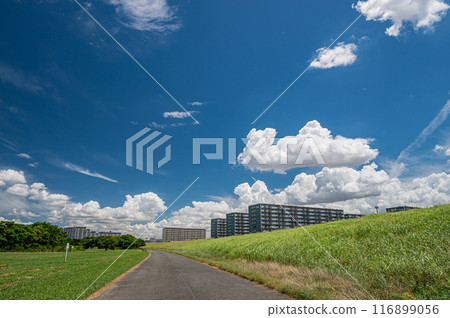 Yodo River embankment and summer sky scenery 116899056