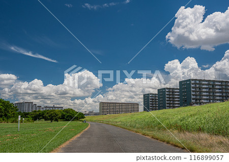 Yodo River embankment and summer sky scenery 116899057