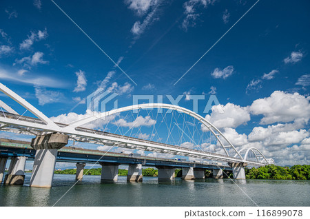 大阪單軌電車鐵橋和夏季淀川風景 大阪單軌電車鐵橋和夏季淀川風景 116899078