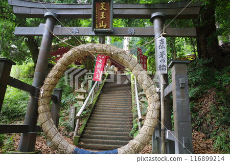 The grass ring at Takedera Temple in Hanno City The grass ring at Takedera Temple in Hanno City 116899214