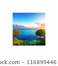 Hill with a view of the sea 116899446