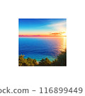 Hill with a view of the sea 116899449