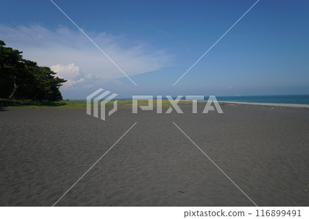 美穗之松原(靜岡縣) 美穗之松原(靜岡縣) 116899491