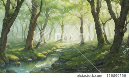A stream in a forest shrouded in fog 116899566