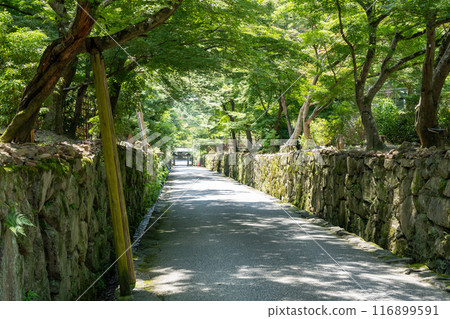 Summer Kyoto Uji Kotosaka 116899591