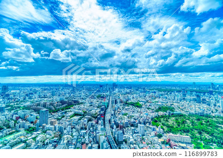 俯瞰地平線的東京城市景觀 116899783