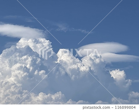 藍天白雲排列整齊 116899804
