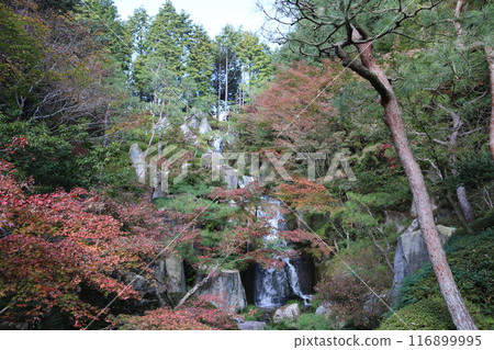 廣島Mikage花園 廣島Mikage花園 116899995