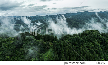 Drone photo: misty, rainy summer mountains 116900397