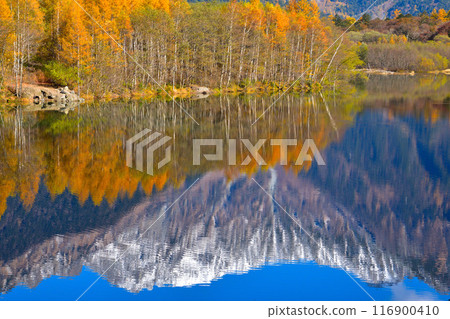 Autumn, Kamikochi, Taisho Pond, Upside-down Hotaka 116900410