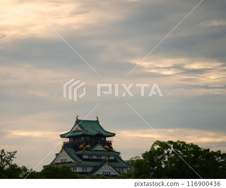 夏季黃昏時分的大阪城風景 116900436