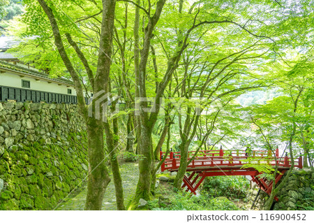 岐阜縣揖斐川町,西美濃三十三聖地第一寺的新綠中橫藏寺的紅橋 岐阜縣揖斐川町,西美濃三十三聖地第一寺的新綠中橫藏寺的紅橋 116900452