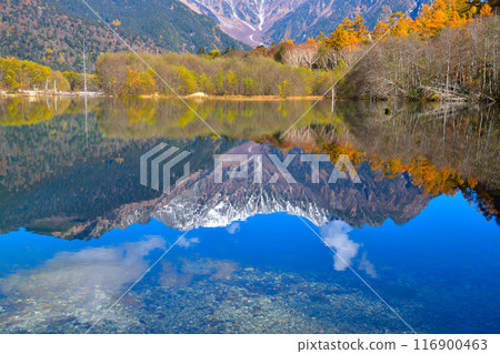 秋天，上高地，大正池，坂坂穗高 116900463