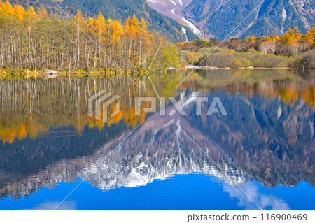 秋天，上高地，大正池，坂坂穗高 116900469