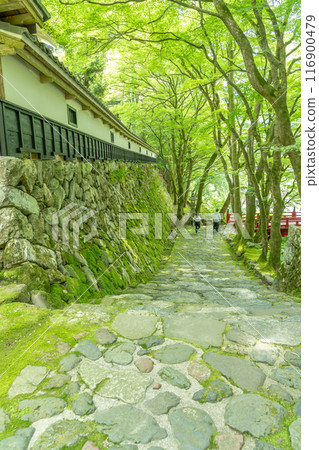 岐阜縣揖斐川町，西美濃三十三聖地第一寺的新綠中橫藏寺的紅橋 116900479