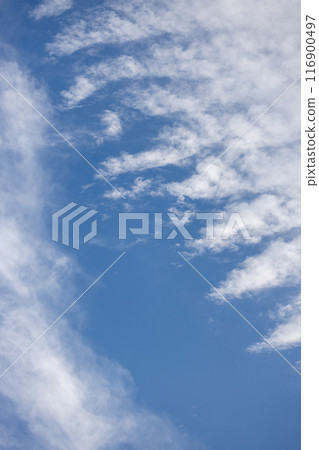 藍天白雲，形狀像魚骨頭 116900497