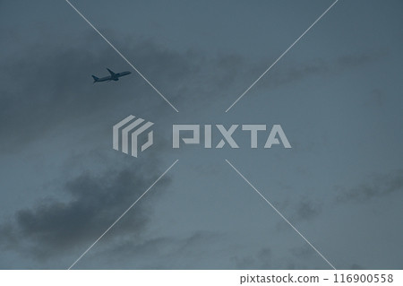Airplane flying in the twilight sky 116900558