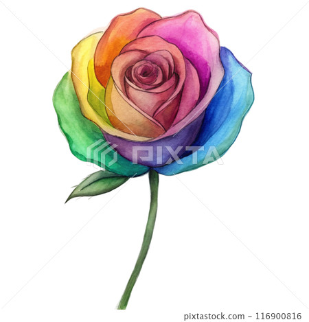 Rainbow Rose Flower Clipart Rainbow Rose Flower Clipart 116900816