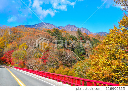 Autumn: Kawamata Valley Higashizawa Bridge Autumn: Kawamata Valley Higashizawa Bridge 116900835
