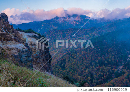 [群馬縣] 荒涼的萬座高原和枯樹的夜景 116900929