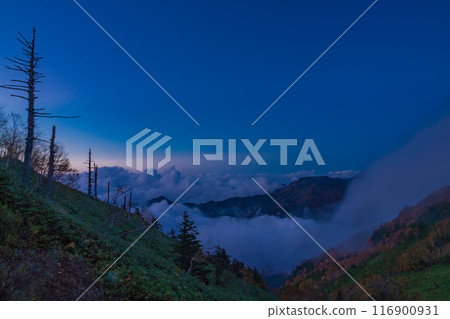 [Gunma Prefecture] The desolate Manza Plateau and dead trees - Evening scenery 116900931