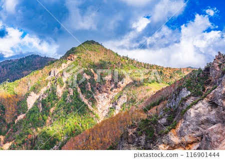 [群馬縣] 秋天的萬座溫泉荒涼的山脈 116901444