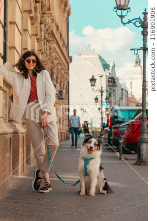Young beautiful Caucasian woman poses outside with her purebred dog Aussie on a leash. Friendship and pet training Young beautiful Caucasian woman poses outside with her purebred dog Aussie on a leash. Friendship and pet training 116901908