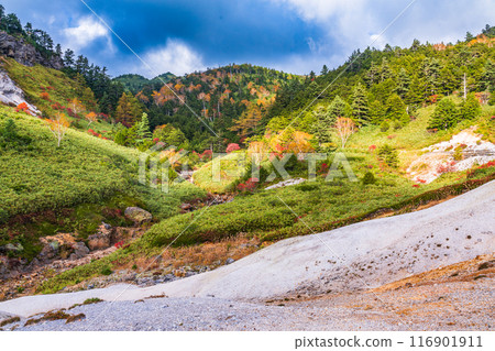 [群馬縣]秋季萬座溫泉滑雪場 116901911