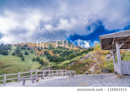 [群馬縣]秋季萬座溫泉滑雪場 116901915