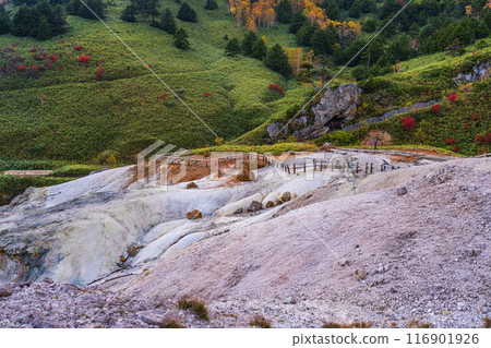 [Gunma Prefecture] Manza Onsen Ski Resort in autumn 116901926