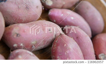 Image of harvested sweet potatoes Image of harvested sweet potatoes 116902057