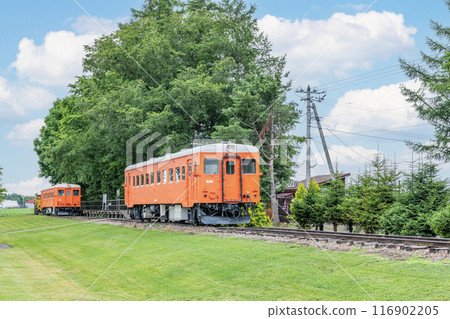 北海道帶廣市夏季北海道機羽22系列第238號及第221號保存於興福交通公園 北海道帶廣市夏季北海道機羽22系列第238號及第221號保存於興福交通公園 116902205