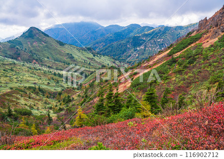 [Gunma Prefecture] Shiga-Kusatsu Road - Autumn leaves near the central watershed 116902712