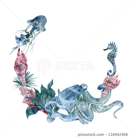 Watercolor and ink hand drawn marine life, sea ocean underwater creatures. fish, shells algae seaweed. Wreath frame illustration, stylized, isolated on white. For zoo shop, aquarium, cosmetics, resort Watercolor and ink hand drawn marine life, sea ocean underwater creatures. fish, shells algae seaweed. Wreath frame illustration, stylized, isolated on white. For zoo shop, aquarium, cosmetics, resort 116902906