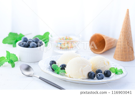 Ice cream and blueberries 116903041