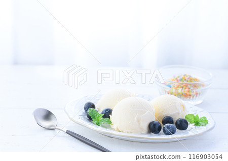 Ice cream and blueberries 116903054