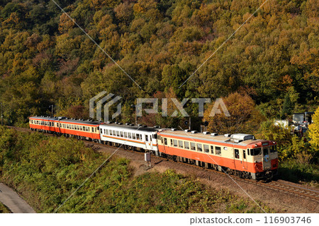 高山本線運行的4輛Kiha 48系列普通列車 高山本線運行的4輛Kiha 48系列普通列車 116903746