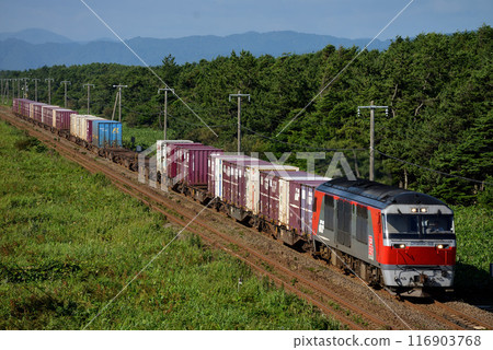 DF200-52型貨櫃貨運列車在室蘭本線運行 DF200-52型貨櫃貨運列車在室蘭本線運行 116903768