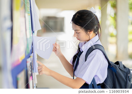 Student looking message at school billboard to study information announcement, School teen seeking part time jobs. 116903934