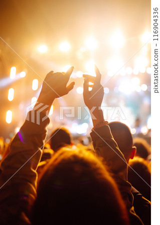 Crowd at concert - Cheering crowd in front of bright colorful stage lights Crowd at concert - Cheering crowd in front of bright colorful stage lights 116904336