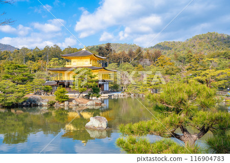 日本京都 — 2024年1月8日：金閣寺精緻花園，又稱金閣 116904783