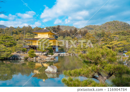 日本京都 — 2024年1月8日：金閣寺精緻花園，又稱金閣 116904784