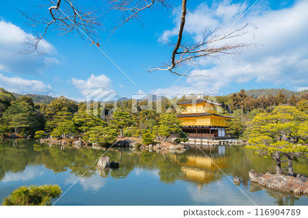 日本京都 — 2024年1月8日：金閣寺精緻花園，又稱金閣 116904789