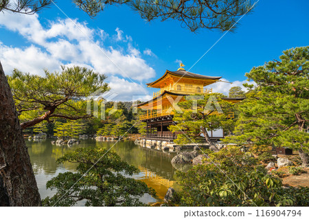 Kyoto, Japan - January 8, 2024: Kinkakuji Exquisite Flower Garden, also known as Kinkaku Kyoto, Japan - January 8, 2024: Kinkakuji Exquisite Flower Garden, also known as Kinkaku 116904794