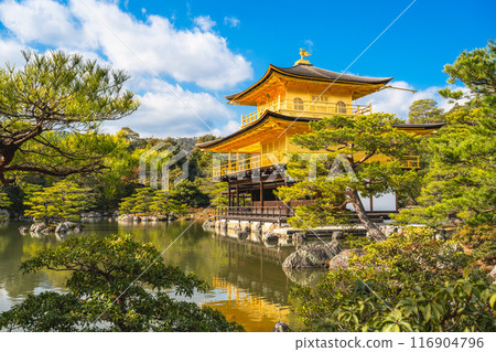 日本京都 — 2024年1月8日：金閣寺精緻花園，又稱金閣 116904796