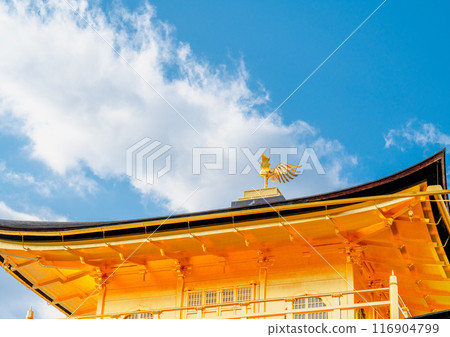 日本京都 — 2024年1月8日：金閣寺精緻花園，又稱金閣 116904799