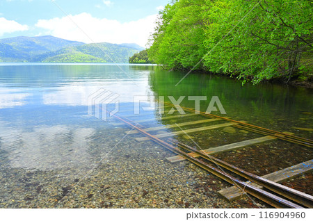 鐵軌和夏季樹木消失在湖中 鐵軌和夏季樹木消失在湖中 116904960