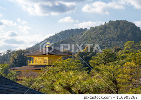 日本京都 — 2024年1月8日：金閣寺精緻的花園，又稱金閣 116905262
