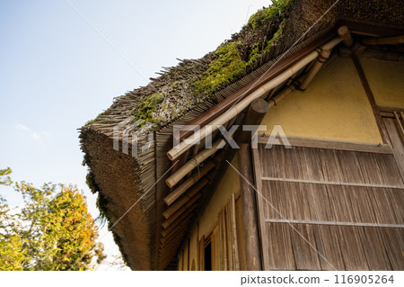 千草屋長德社、日本伏木布亞 116905264