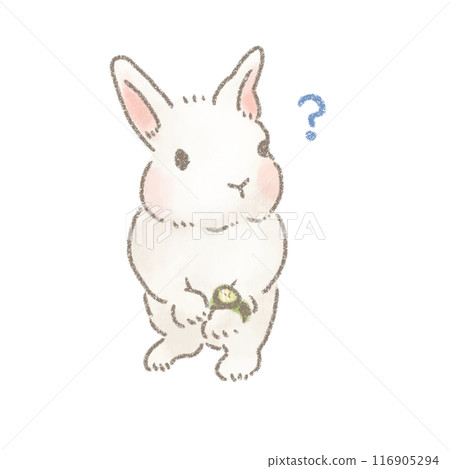 A white rabbit doesn't know the time and looks at his watch 116905294